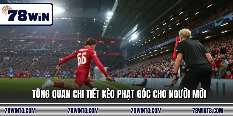 Tổng quan chi tiết kèo phạt góc cho người mới